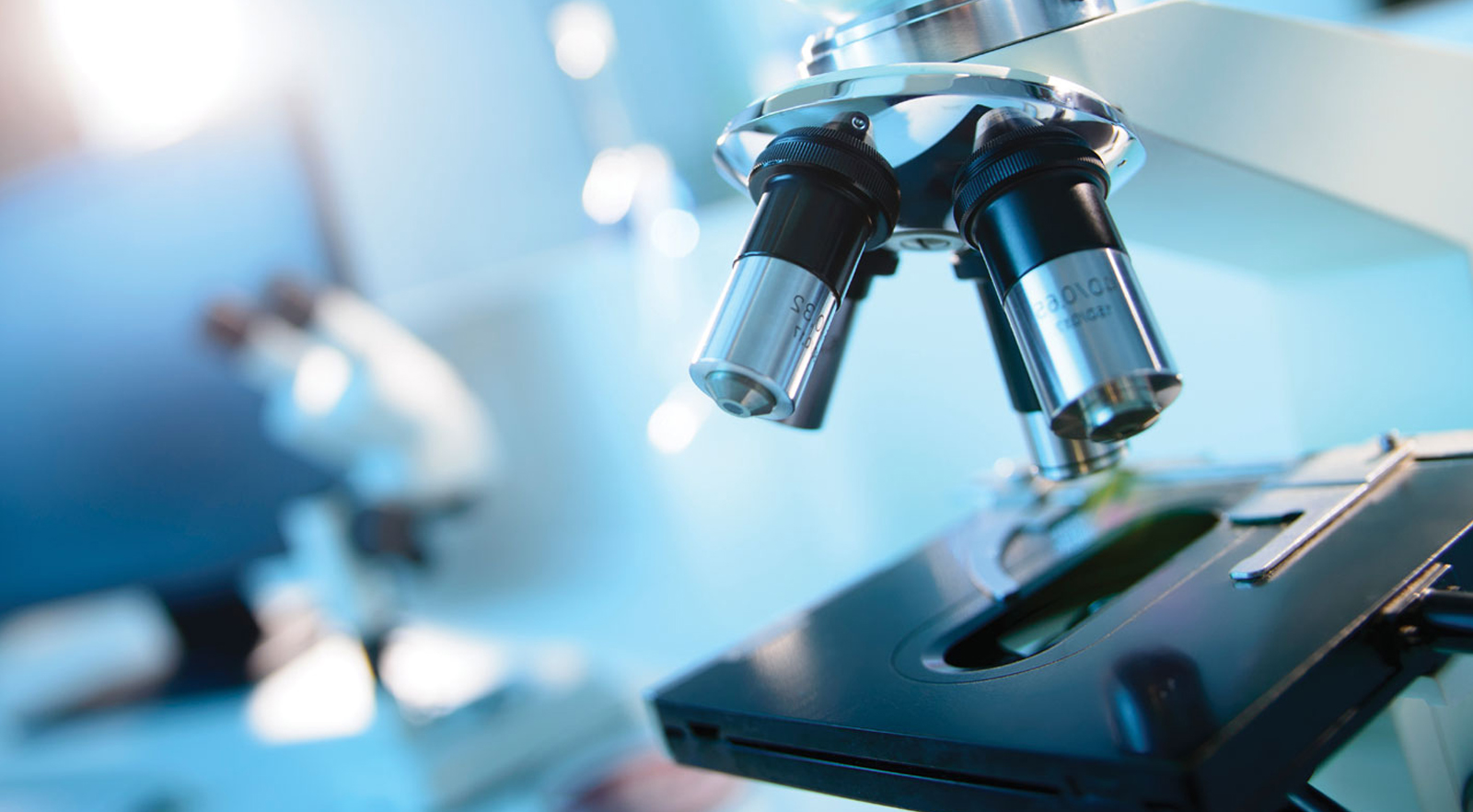 qdx pathology qdx pathology